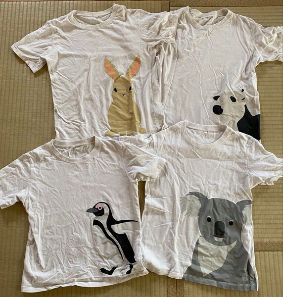 無印 動物柄Tシャツ 4枚セット まとめ売り 140〜150