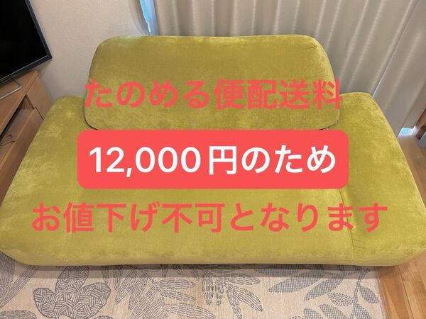 実物写真 ソファー ソファ 椅子 二人 二人掛け sofa green 緑 黄緑 グリーン ORGA