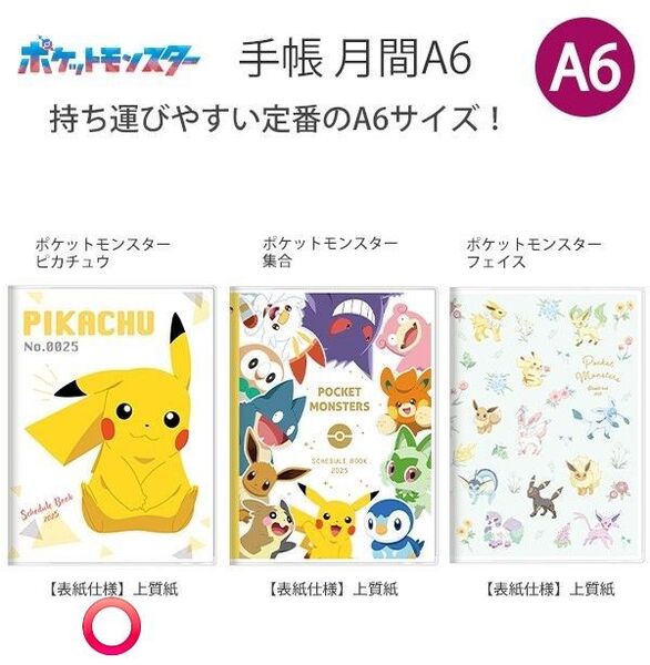 サンスター文具 ポケモン 2025年 手帳 A6 スケジュール帳 ピカチュウ