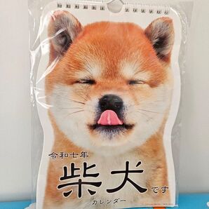 アクティブコーポレーション 柴犬カレンダー 壁掛け 2025年 月めくり 壁掛けカレンダー 壁掛け いぬ dog Dogs 犬