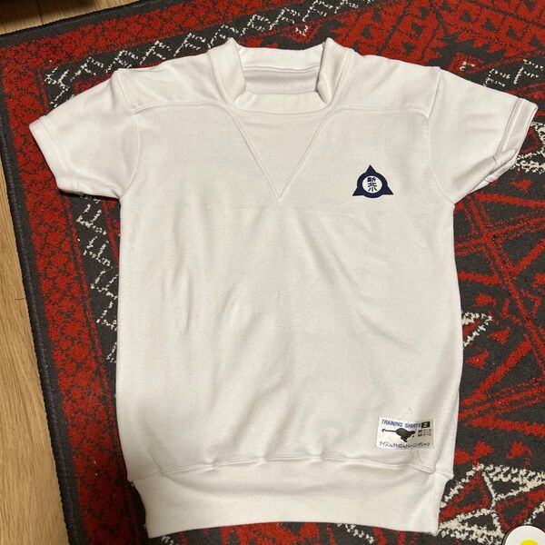 体操服 テイジン 115〜125センチ 半袖 小学校