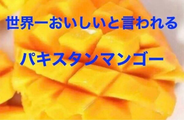 2点のみ限定特別出品 世界一美味しい 完熟パキスタンマンゴー チャウンサ 超希少大玉さ