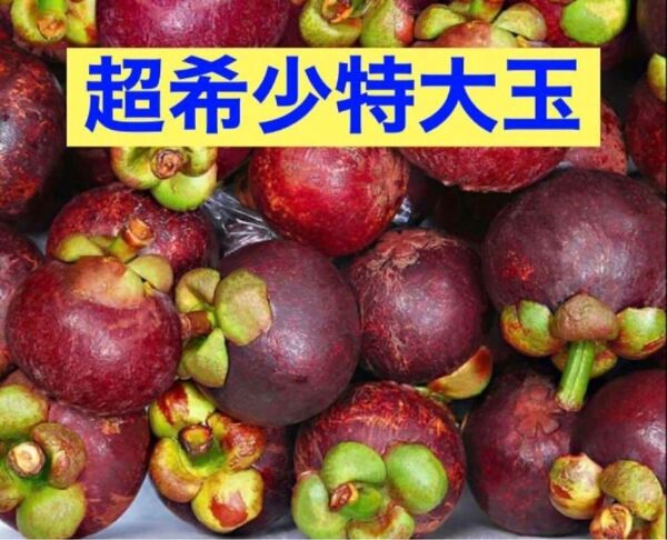 本日新入荷 超希少特大玉 2点のみ限定出品 激甘生鮮フレッシュ タイ産直送マンゴスチン 山竹