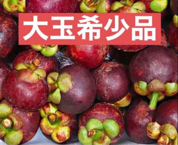 本日新入荷 超希少大玉お得セット 5点のみ限定出品 激甘生鮮フレッシュ タイ産直送マンゴスチン 山竹