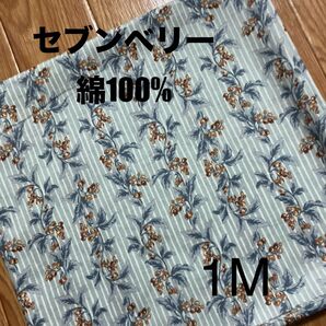 【期間限定セール】生地 セブンベリー ソレイユ ベリーストライプ ミントグレー スケア 綿100%