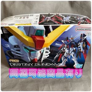 ZGMF-X42S デスティニーガンダム (1/144スケール RG 11 機動戦士ガンダムSEED DESTINY