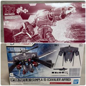 HGBF 1/144 アメイジングズゴック キャバリーアーセット
