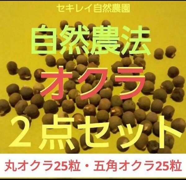 自然農法 オクラの固定種2点セット(丸オクラ25粒・五角オクラ25粒)