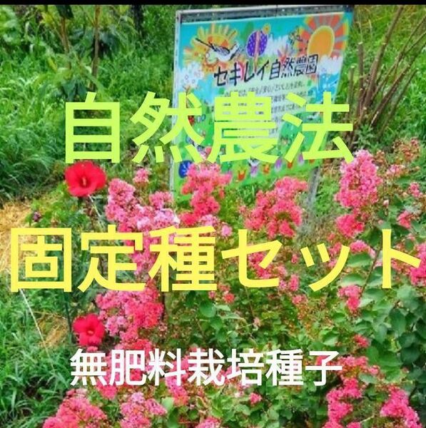 自然農法 固定種11点セット(4400円→2800円)