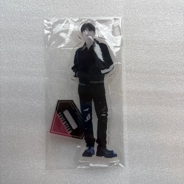 seventeen エスクプス アクリルスタンド アクリル グッズ