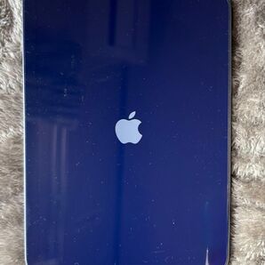 iPad mini WiFi 64GB スペースグレイ カバー付き