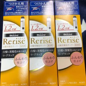 リライズ 白髪用髪色サーバー リ・ブラック ふんわり仕上げ つけかえ用 190g×3本