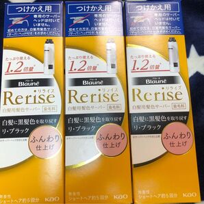 リライズ 白髪用髪色サーバー リ・ブラック ふんわり仕上げ つけかえ用 190g×3本