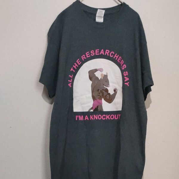 GILDAN All The Researchers Say I'm A Knockout Tシャツ M
