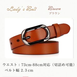 レディースベルト ブラウン 本革 ベルト レディースファッション カジュアル シンプル 茶色