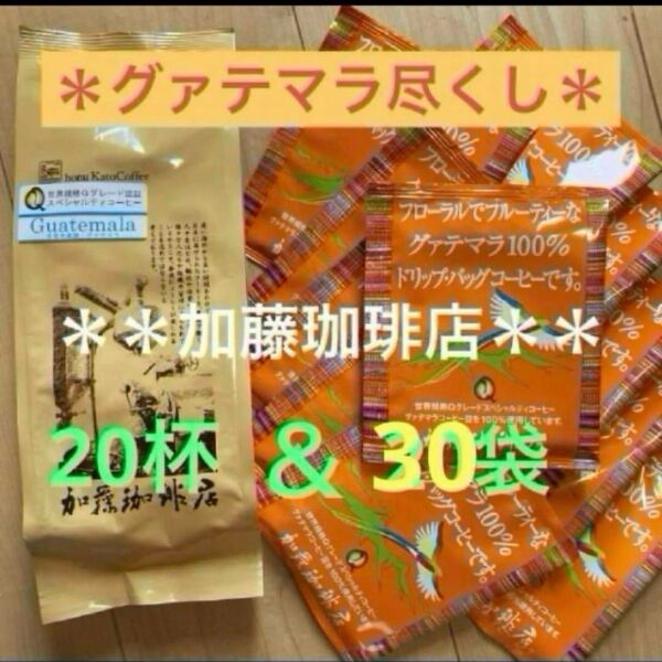 *加藤珈琲店*世界規格Qグレードスペシャルティコーヒーグァテマラ尽くし♪セット
