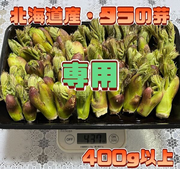 【専用】北海道産 たらの芽 500g