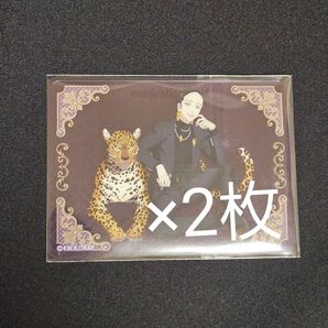 東京リベンジャーズ 灰谷蘭 チョコインサブレ イオン限定 マジェスティックビースト majesticbeast 蘭 クリアカード