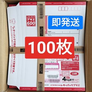 レターパックプラス 100枚