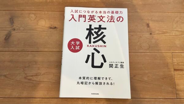 入門英文法の核心 大学入試 関正生