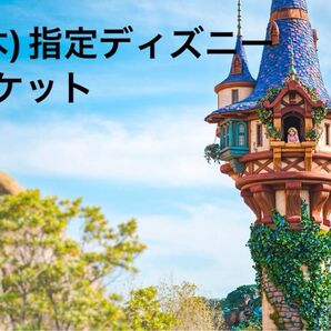 ディズニーシー ワンデイ 大人 ペア チケット 6月12日 指定