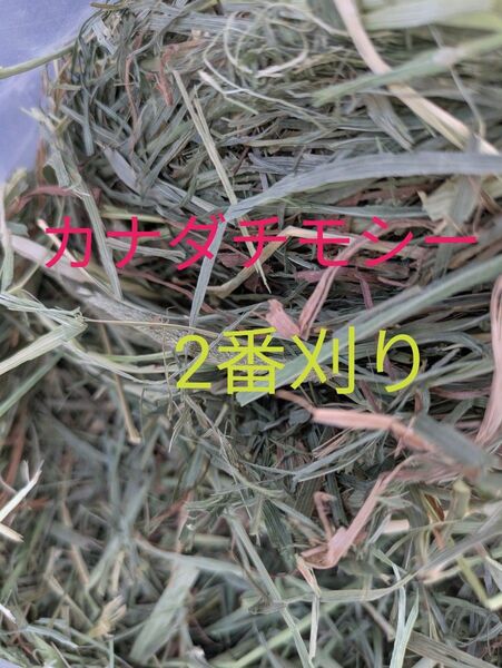 カナダ産スーパープレミアムチモシー2番刈り 2kg