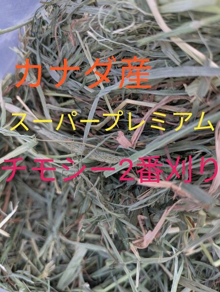 カナダ産スーパープレミアムチモシー2番刈り 1.8kg
