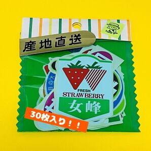 30枚 販促シール 食品シール ステッカー おすそ分け 手帳デコ ラベル コラージュ 平成レトロ 昭和レトロ ジャンクジャーナル