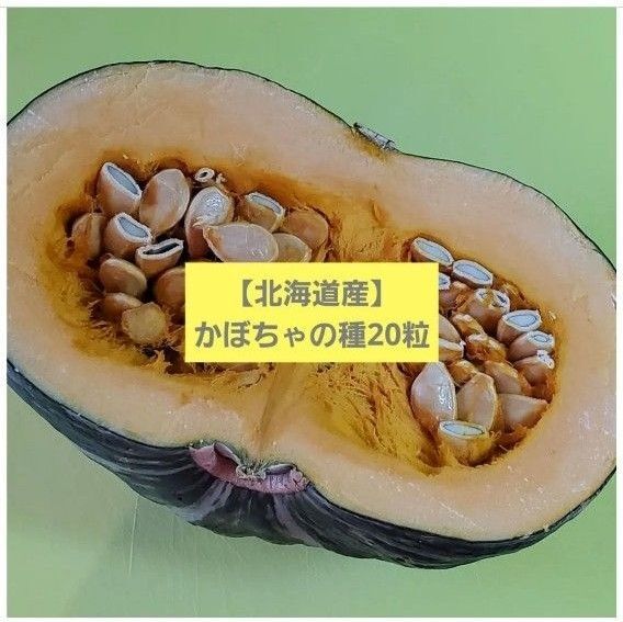 【北海道産】かぼちゃの種20粒