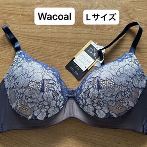 ワコールWacoal Wing シンクロブラ Date Lサイズ