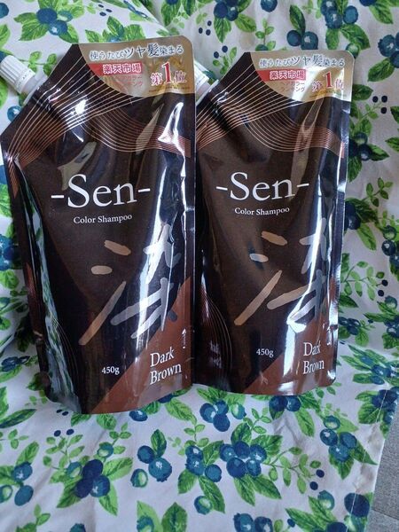Senのカラーシャンプー ダークブラウン