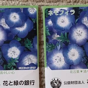 ネモフィラ 種 サカタのタネ