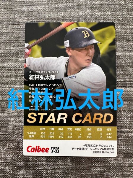 紅林弘太郎 2025プロ野球チップス スターカード オリックス・バファローズ