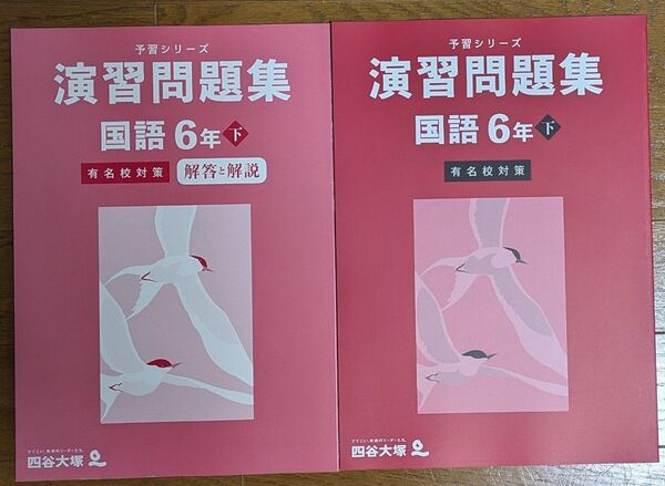 四谷大塚 演習問題集 理科 6年(下)有名校対策