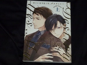 ★かしこまりました、デスティニー 上★さちも★送料112円