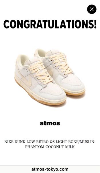 NIKE DUNK LOW RETRO QS atmos当選品 最安値、早い物勝ちです。24時間のみ出品します。