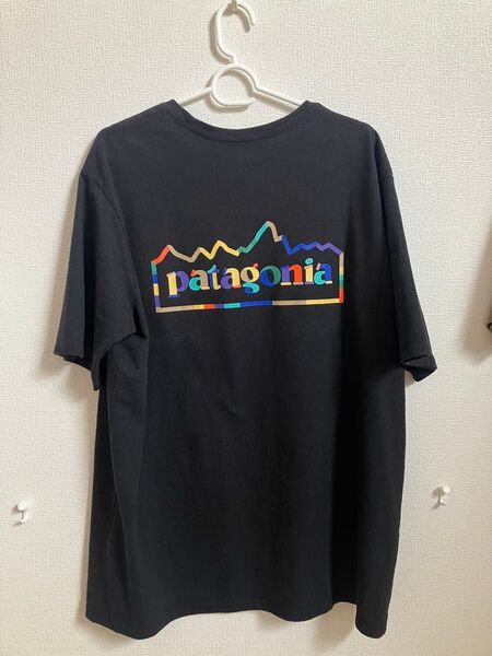パタゴニア Tシャツ Lサイズ