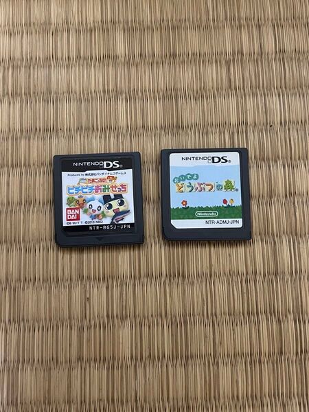DS たまごっちのピチピチおみせっち ソフトのみ