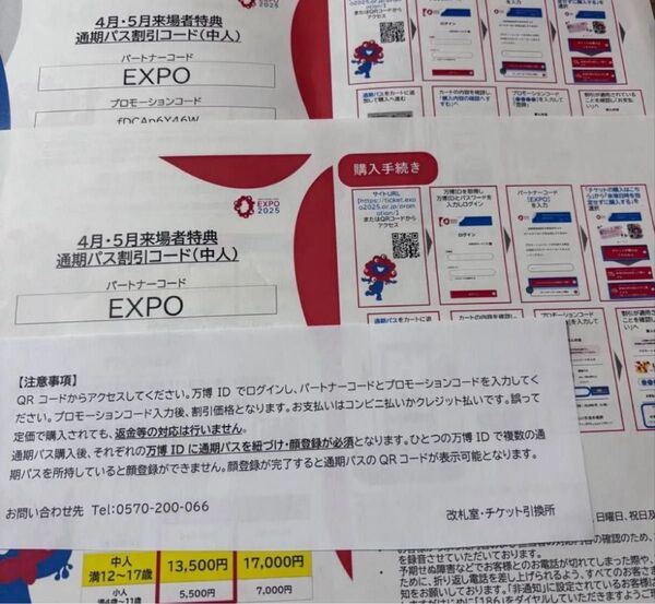 大阪関西万博2025 通期パス割引券 中人用2枚