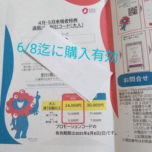 大阪 関西万博 通期パス割引コード大人用2枚
