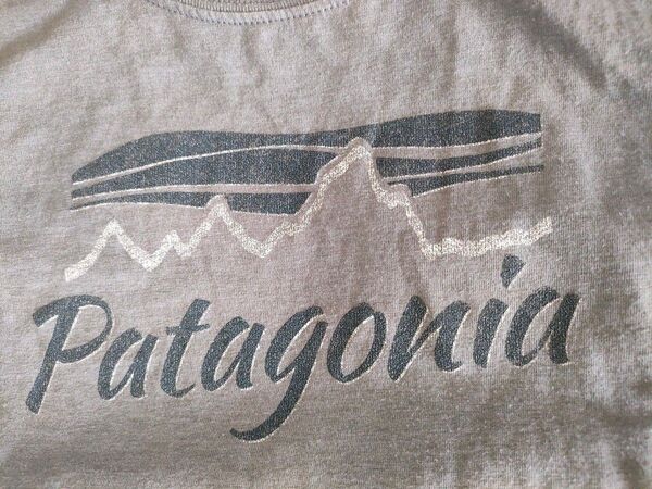 Patagonia Tシャツ グレー Sサイズ メキシコ製