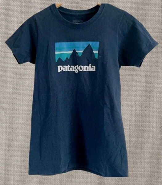 patagonia パタゴニア 半袖Tシャツ ネイビー レアロゴプリント