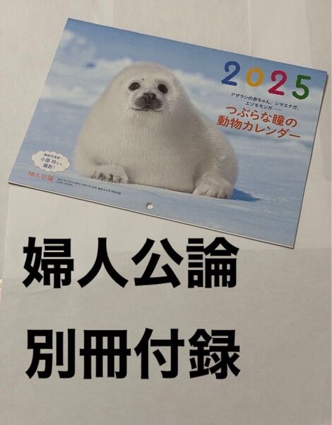 【婦人公論 付録】2025 アザラシの赤ちゃん、他 つぶらな瞳の動物カレンダー 婦人公論 シマエナガ アザラシ カレンダー 壁掛け
