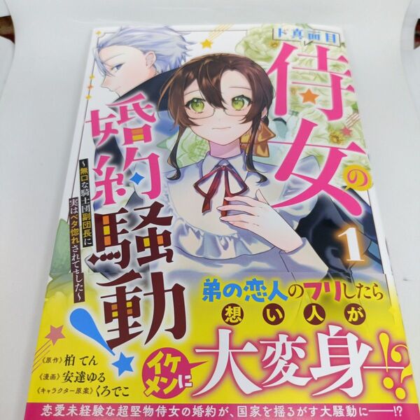 ド真面目侍女の婚約騒動! 無口な騎士団副団長に実はベタ惚れされてました 1 (ヤングジャンプコミックス)