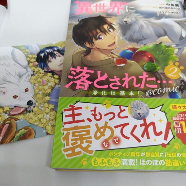 異世界に落とされた…浄化は基本!@COMIC 2 (コロナ・コミックス) 中島鯛/漫画 ほのぼのる500