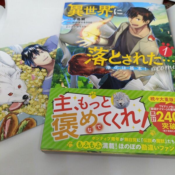 異世界に落とされた…浄化は基本!@COMIC 1 (コロナ・コミックス) 中島鯛/漫画 ほのぼのる500/