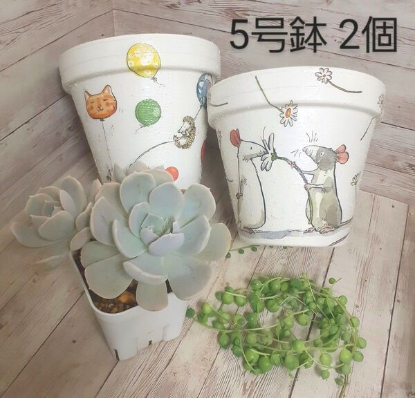 リメイク鉢 ハンドメイド デコパージュ 多肉植物のカット苗付き