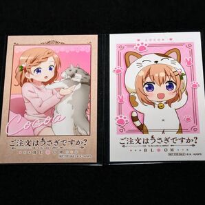 【フォトカード(ランダム)】ココア(キービジュアル)&ココア(ねこ) 2枚セット ご注文はうさぎですか?×カラオケまねきねこ