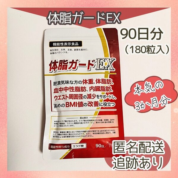 新品未開封 送料無料 DUEN 体脂ガードEX 機能性表示食品 90日分180粒入