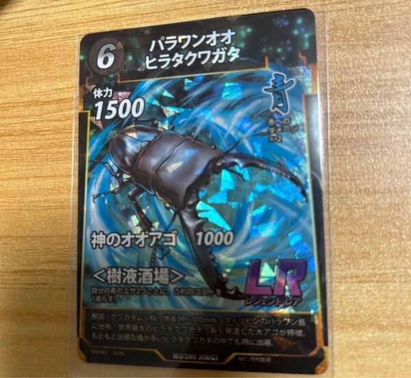 蟲神器 LR パラワンオオヒラタクワガタ
